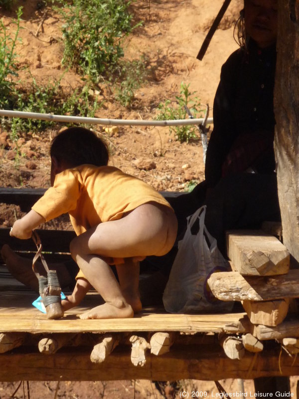 Eng Tribe06